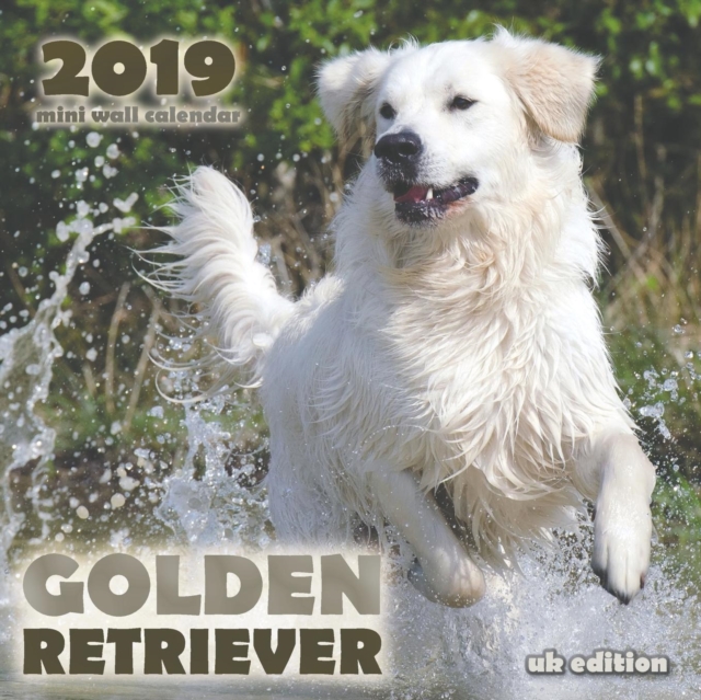 Golden Retriever 2019 Mini Wall Calendar (UK Edition), Paperback / softback Book