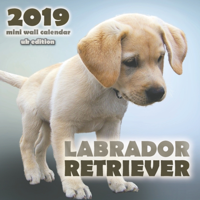 Labrador Retriever 2019 Mini Wall Calendar (UK Edition), Paperback / softback Book
