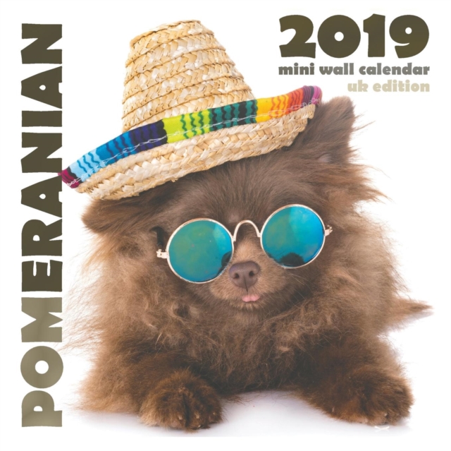 Pomeranian 2019 Mini Wall Calendar (UK Edition), Paperback / softback Book