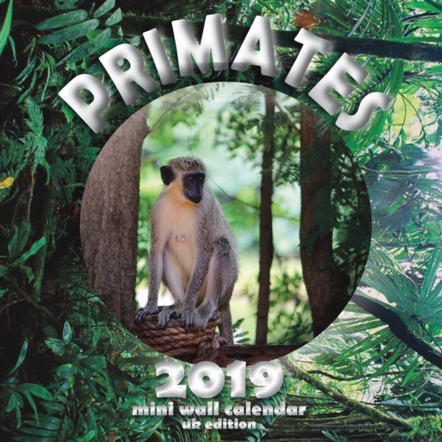 Primates 2019 Mini Wall Calendar (UK Edition), Paperback / softback Book