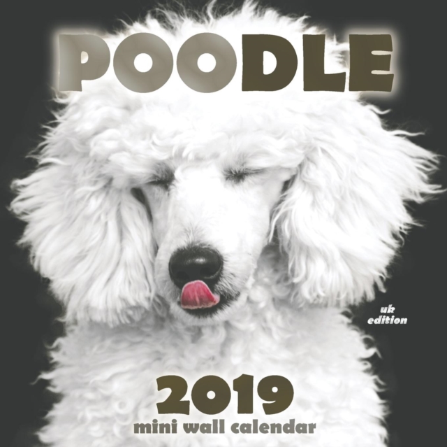 Poodle 2019 Mini Wall Calendar (UK Edition), Paperback / softback Book