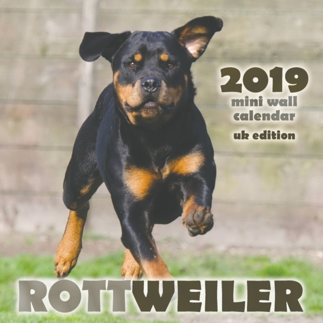 Rottweiler 2019 Mini Wall Calendar (UK Edition), Paperback / softback Book
