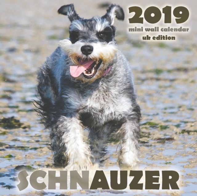 Schnauzer 2019 Mini Wall Calendar (UK Edition), Paperback / softback Book