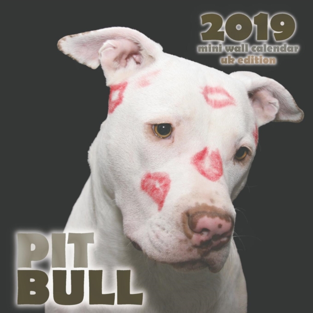 Pit Bull 2019 Mini Wall Calendar (UK Edition), Paperback / softback Book