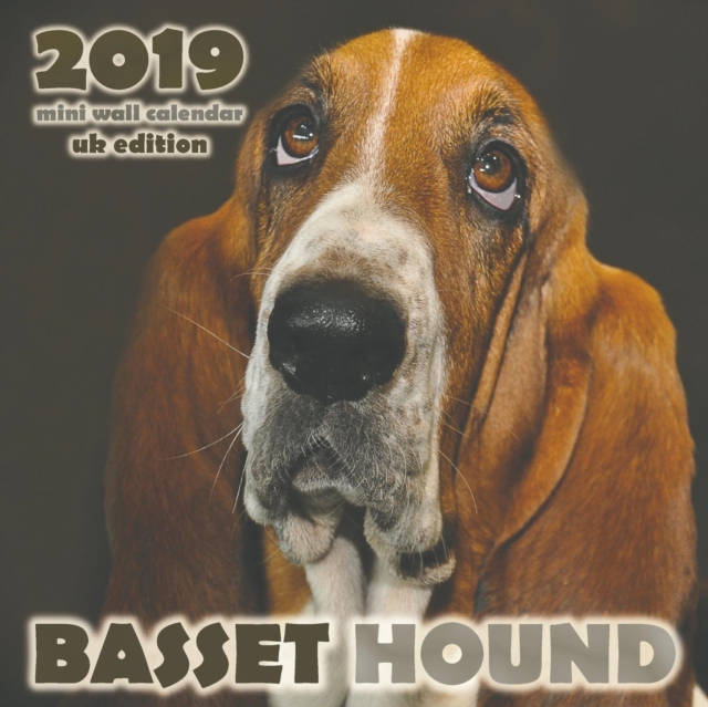 Basset Hound 2019 Mini Wall Calendar (UK Edition), Paperback / softback Book
