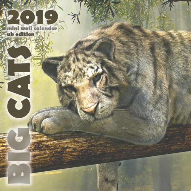 Big Cats 2019 Mini Wall Calendar (UK Edition), Paperback / softback Book