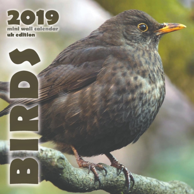 Birds 2019 Mini Wall Calendar (UK Edition), Paperback / softback Book