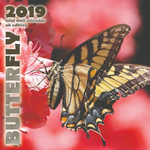 Butterfly 2019 Mini Wall Calendar (UK Edition), Paperback / softback Book