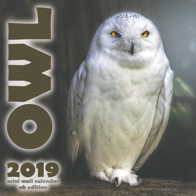 The Owl 2019 Mini Wall Calendar (UK Edition), Paperback / softback Book
