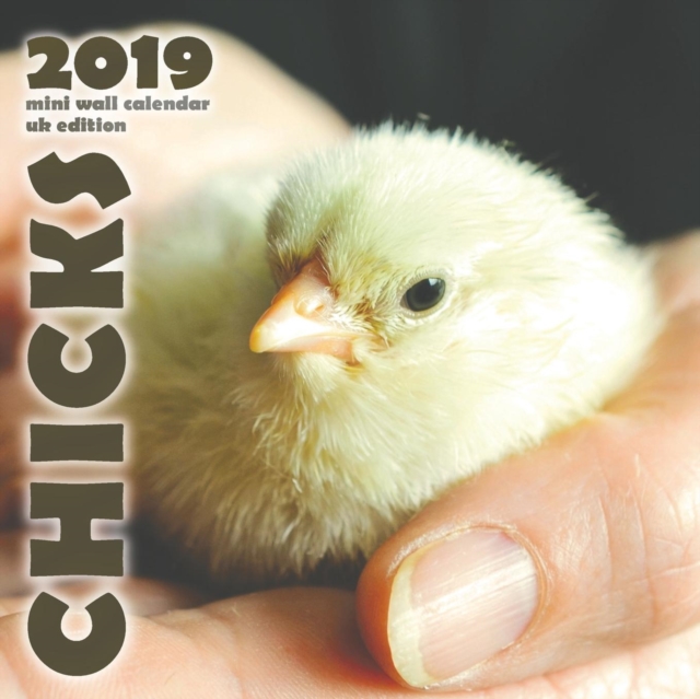 Chicks 2019 Mini Wall Calendar (UK Edition), Paperback / softback Book