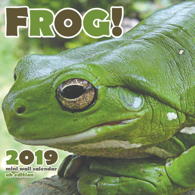The Frog 2019 Calendar (UK Edition), Paperback / softback Book