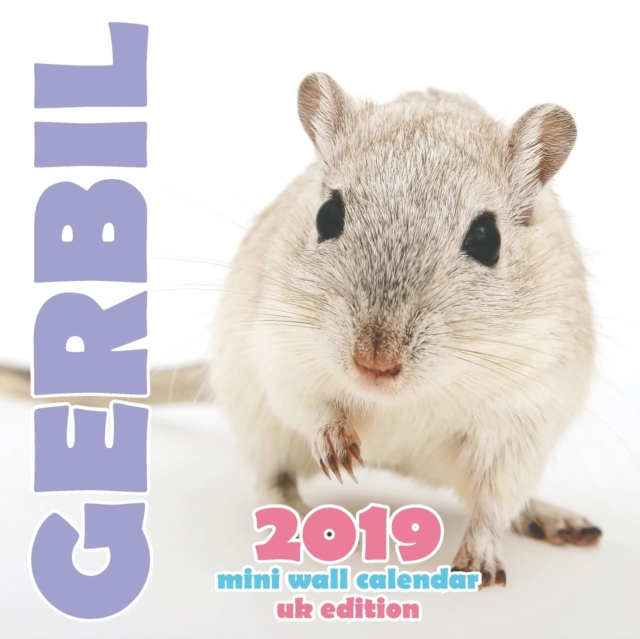 Gerbil 2019 Mini Wall Calendar (UK Edition), Paperback / softback Book