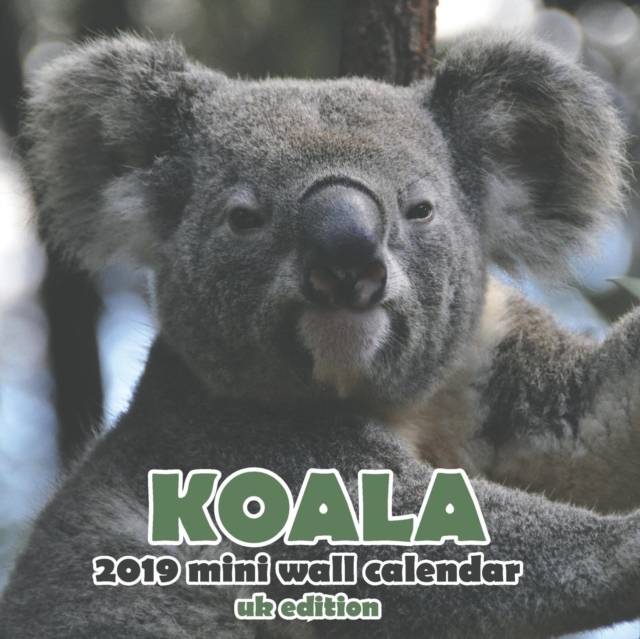 Koala 2019 Mini Wall Calendar (UK Edition), Paperback / softback Book