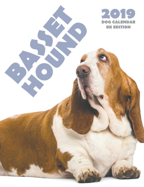 Basset Hound 2019 Dog Calendar (UK Edition), Paperback / softback Book