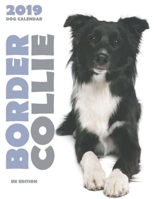 Border Collie 2019 Dog Calendar (UK Edition), Paperback / softback Book