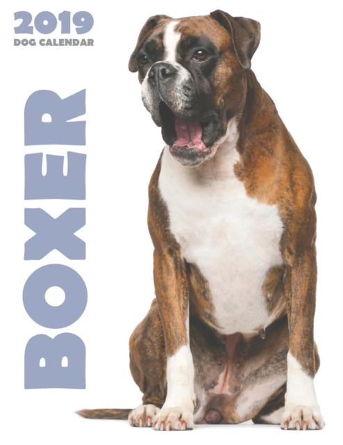 Boxer 2019 Dog Calendar (UK Edition), Paperback / softback Book