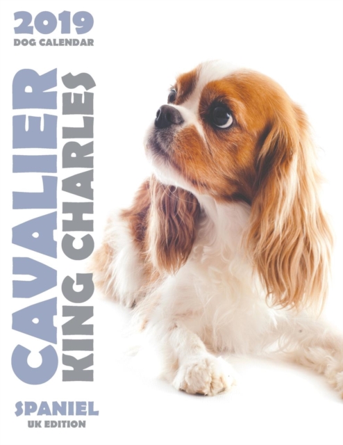 Cavalier King Charles Spaniel 2019 Dog Calendar (UK Edition), Paperback / softback Book