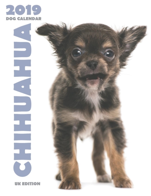 Chihuahua 2019 Dog Calendar (UK Edition), Paperback / softback Book