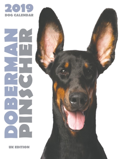 Doberman 2019 Dog Calendar (UK Edition), Paperback / softback Book