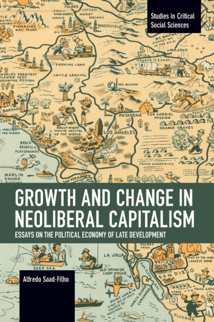 Growth and Change in Neoliberal Capitalism : Essays on the Political Economy of Late Development, Paperback / softback Book