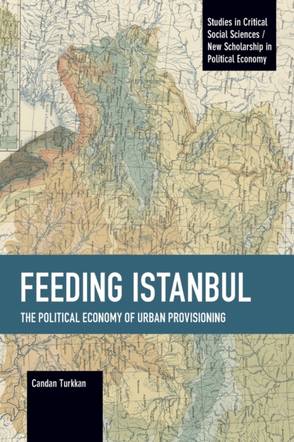 Feeding Istanbul : The Political Economy of Urban Provisioning, Paperback / softback Book
