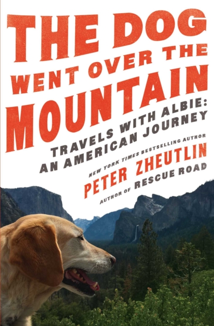 The Dog Went Over the Mountain, EPUB eBook