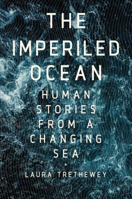 Imperiled Ocean, EPUB eBook
