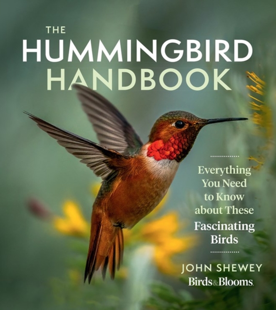 The Hummingbird Handbook : Everything You Need to Know about These Fascinating Birds, Paperback / softback Book
