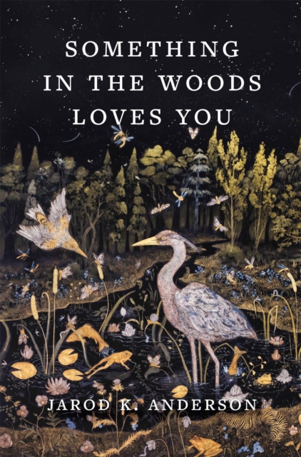 Something in the Woods Loves You, Hardback Book
