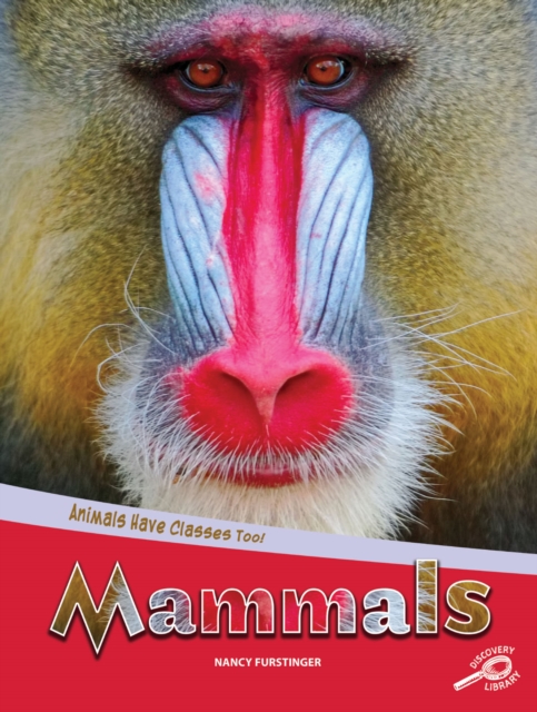 Animals Have Classes Too! Mammals, PDF eBook