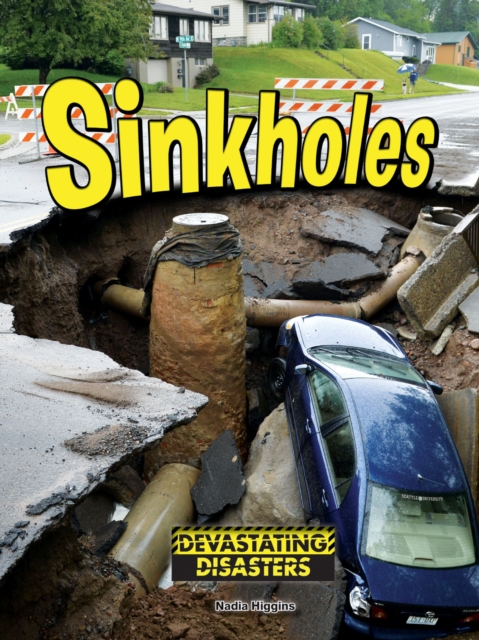 Sinkholes, EPUB eBook