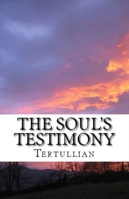 The Soul's Testimony, Paperback / softback Book