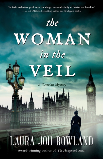 The Woman In The Veil : A Victorian Mystery, Hardback Book