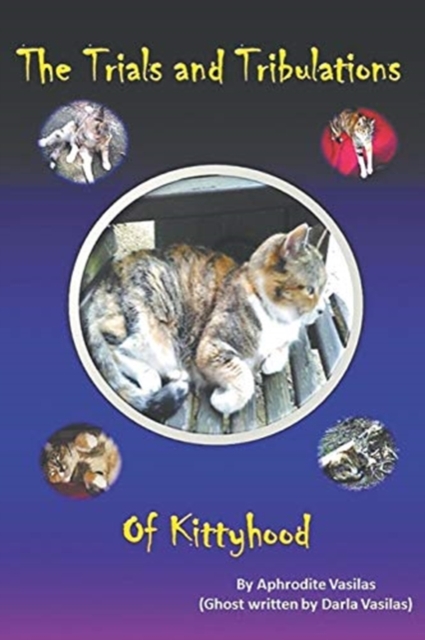 The Trials and Tribulations of Kittyhood, Paperback / softback Book