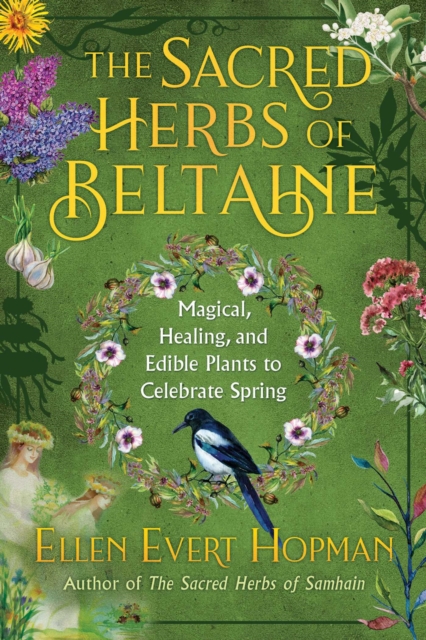 The Sacred Herbs of Spring : Magical, Healing, and Edible Plants to Celebrate Beltaine, Paperback / softback Book