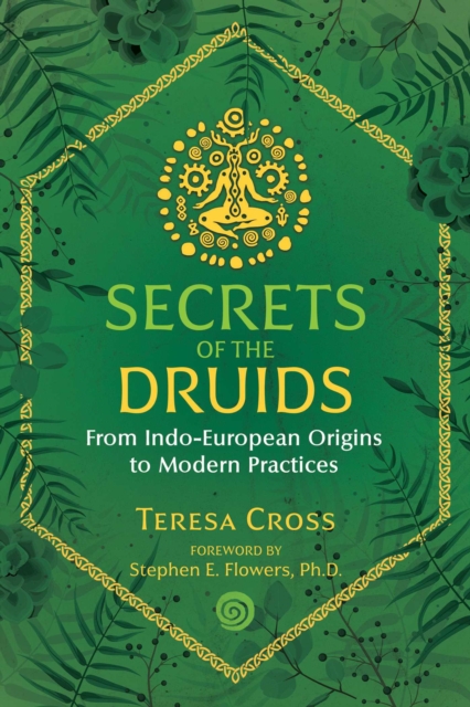 Secrets of the Druids : From Indo-European Origins to Modern Practices, EPUB eBook
