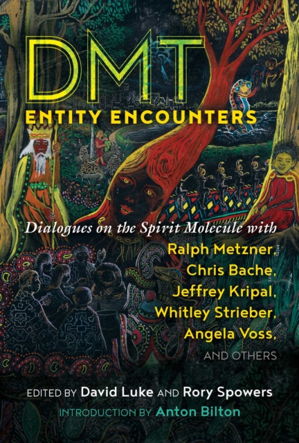 DMT Entity Encounters : Dialogues on the Spirit Molecule with Ralph Metzner, Chris Bache, Jeffrey Kripal, Whitley Strieber, Angela Voss, and Others, Paperback / softback Book