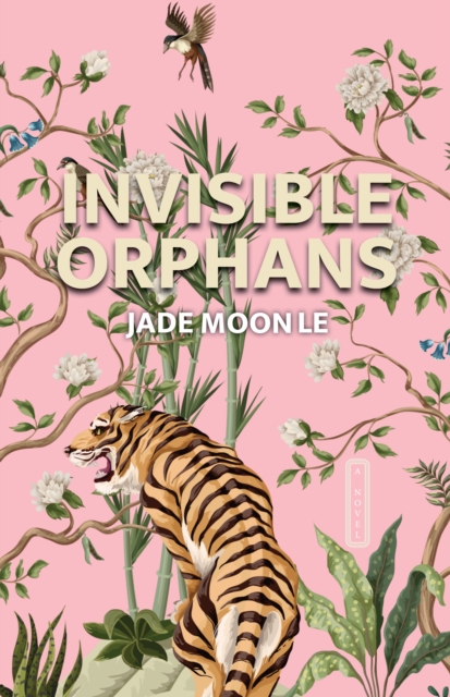 Invisible Orphans, Hardback Book