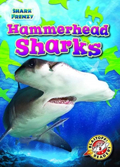 Hammerhead Sharks, Hardback Book