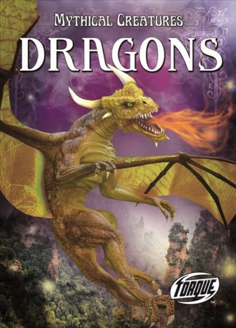 Dragons, Hardback Book