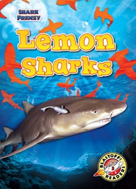 Lemon Sharks, Hardback Book