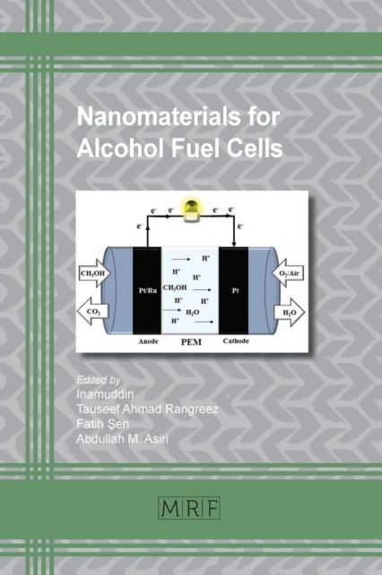 Nanomaterials for Alcohol Fuel Cells, Paperback / softback Book