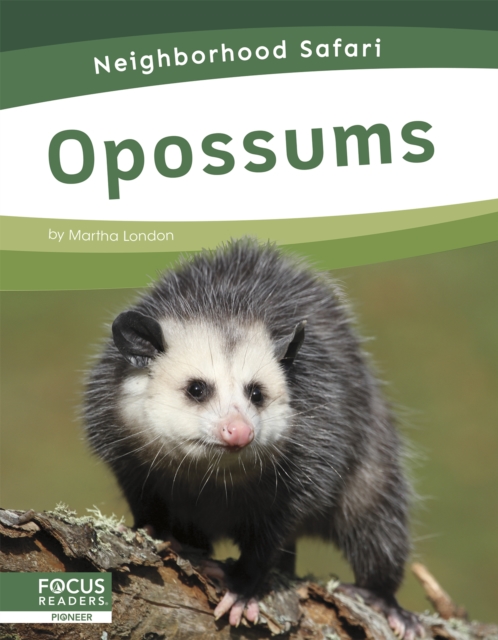 Neighborhood Safari: Opossums, Hardback Book