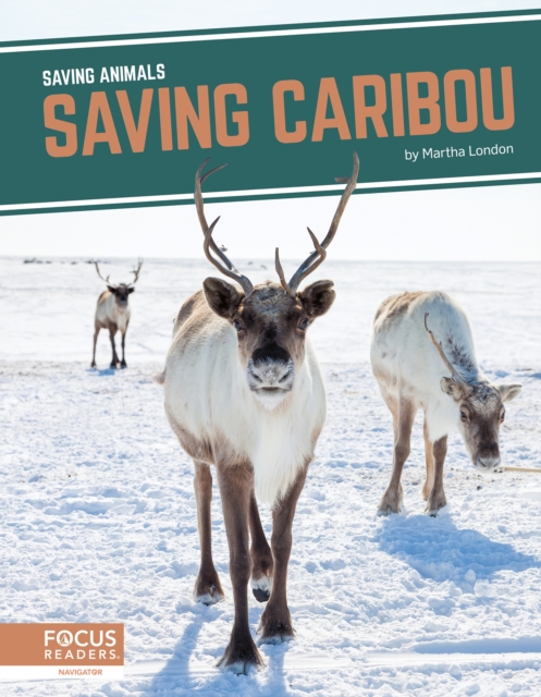 Saving Animals: Saving Caribou, Hardback Book