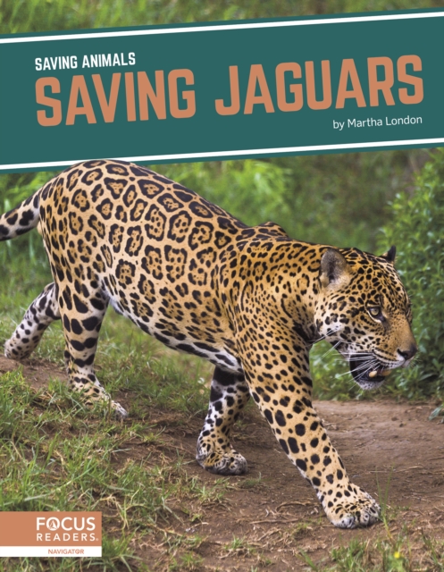 Saving Animals: Saving Jaguars, Hardback Book