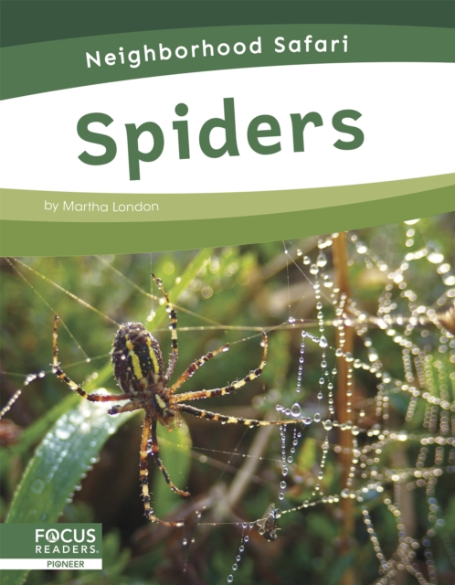Neighborhood Safari: Spiders, Paperback / softback Book