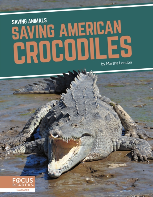 Saving Animals: Saving American Crocodiles, Paperback / softback Book