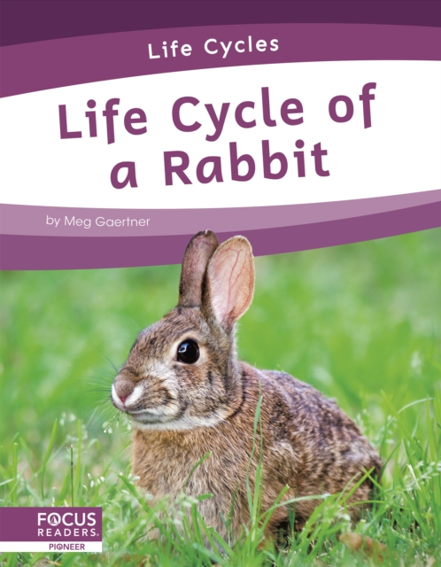 Life Cycles: Life Cycle of a Rabbit, Hardback Book