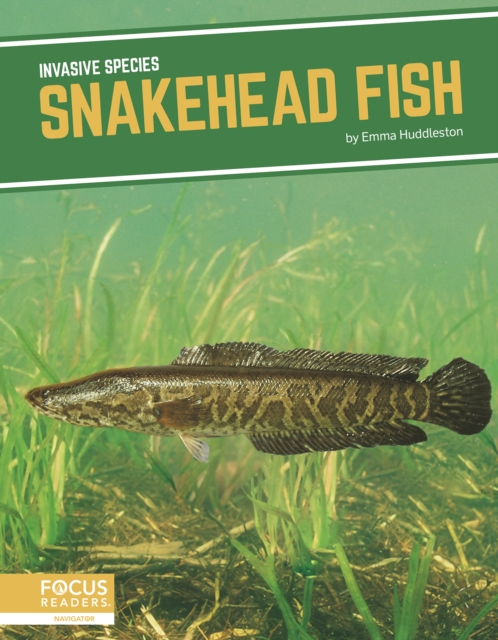 Invasive Species: Snakehead Fish, Hardback Book