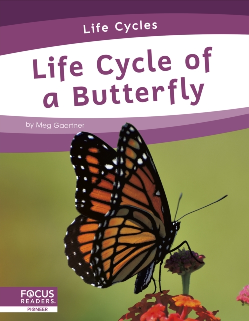 Life Cycles: Life Cycle of a Butterfly, Paperback / softback Book